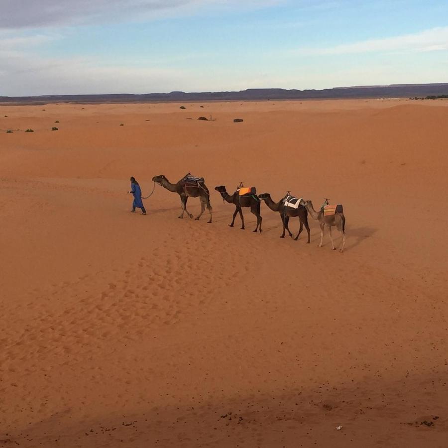 Auberge Sahara Garden Lac Yasmins Eksteriør bilde