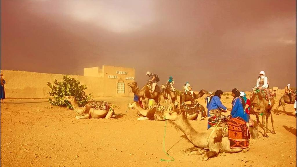Auberge Sahara Garden Lac Yasmins Eksteriør bilde